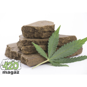 Гашиш, хэш, анаша. Исторические факты о фитонаркотике